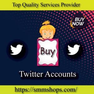 Buy New Twitter Accounts