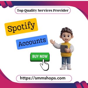 Buy Bulk Spotify Accounts